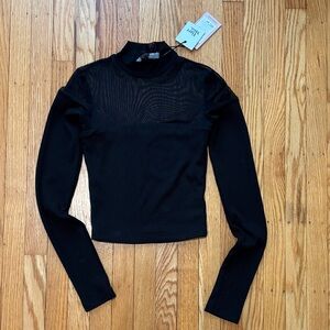 Cropped Black Sheer Panel Long Sleeve Top